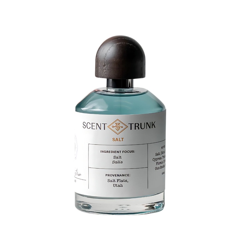 Salt 100ml Eau de Parfum