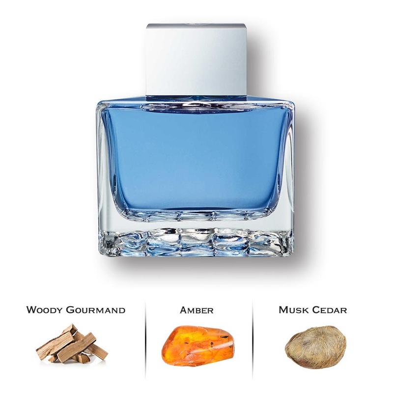 Blue Seduction by Antonio Banderas 1.7 Oz. Eau De Toilette For Men