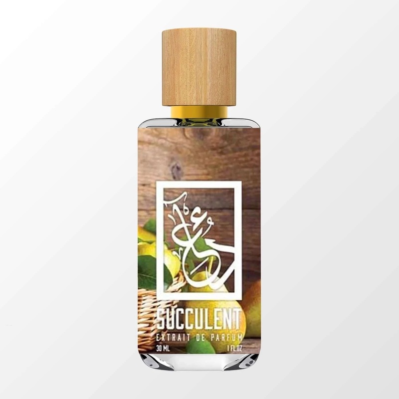 Succulent