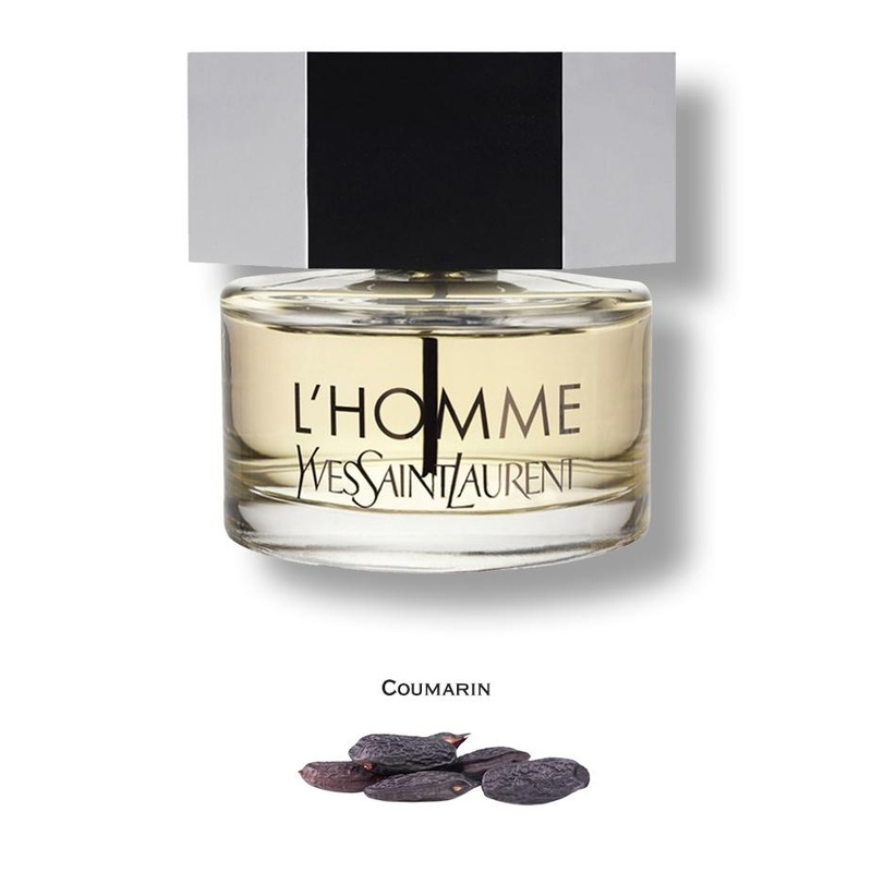 L’Homme by Yves Saint Laurent 6.7 Oz. Eau De Toilette For Men